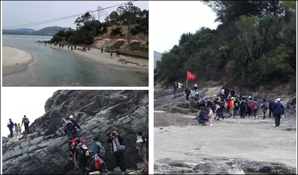 新美裝飾-新美動態5 (3).jpg